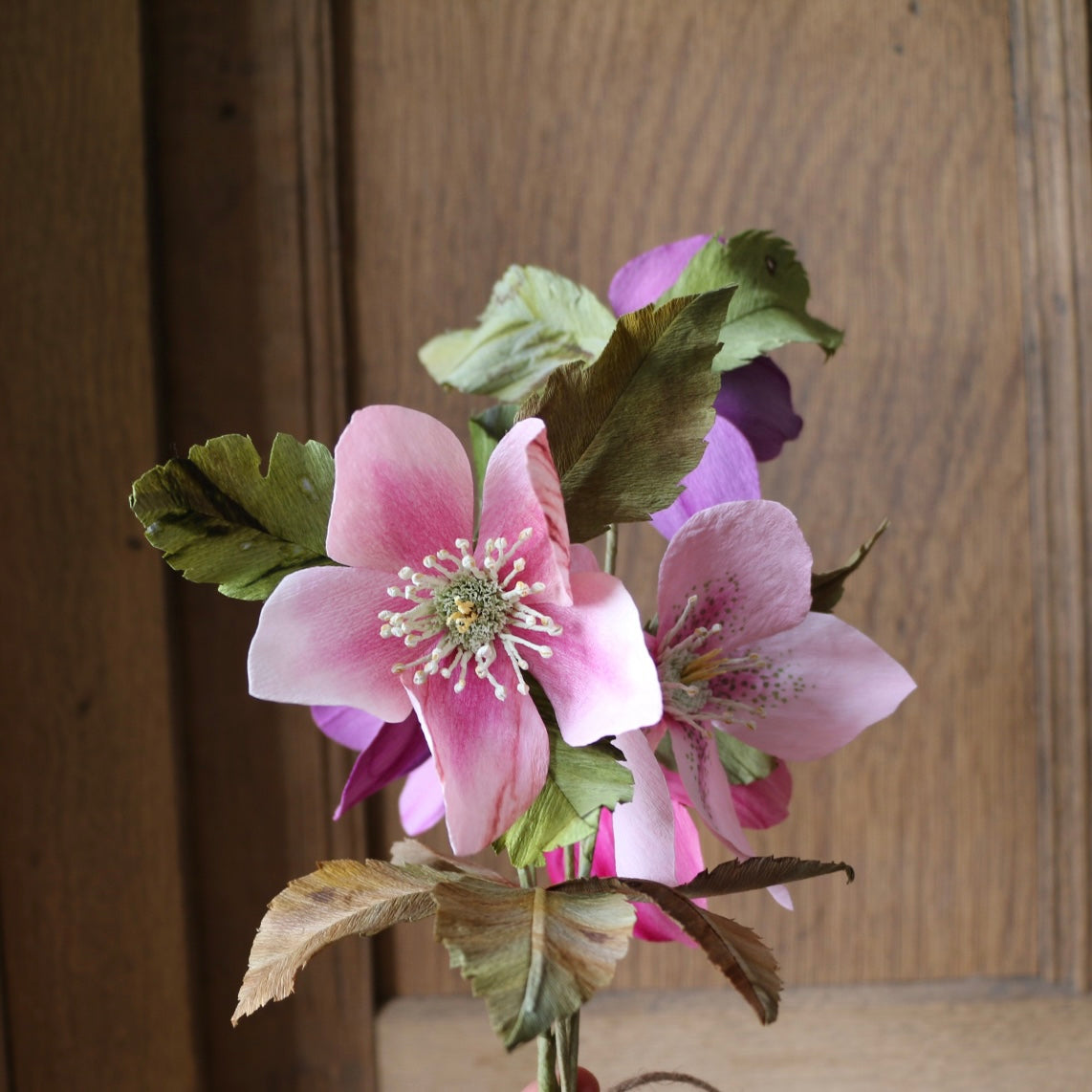 Floragami / Hellebore Bunch #2