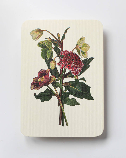 Posy of Hellebore & Scabiosa - Greeting Card