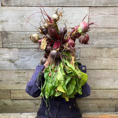 Grow Beetroot - Greeting Card