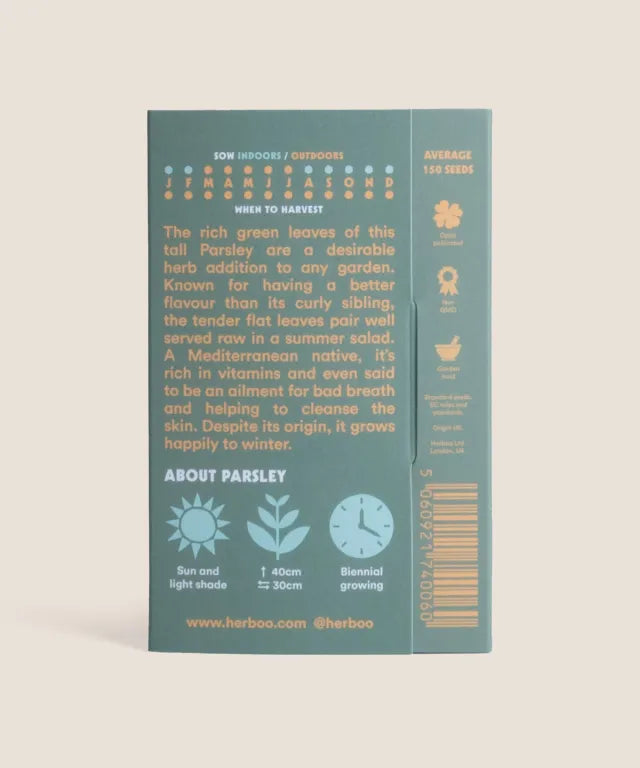 Parsley 'Italian Giant'