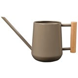 Indoor Watering Can