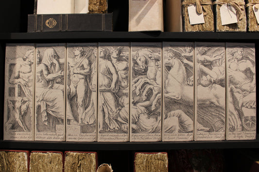 Set of 8 File Boxes - Frieze