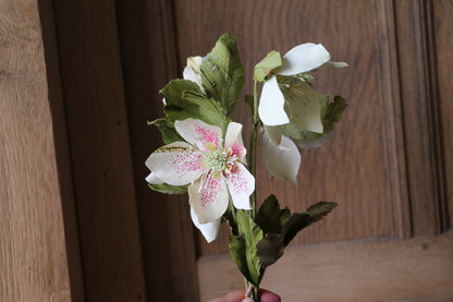 Floragami / Hellebore Bunch #1