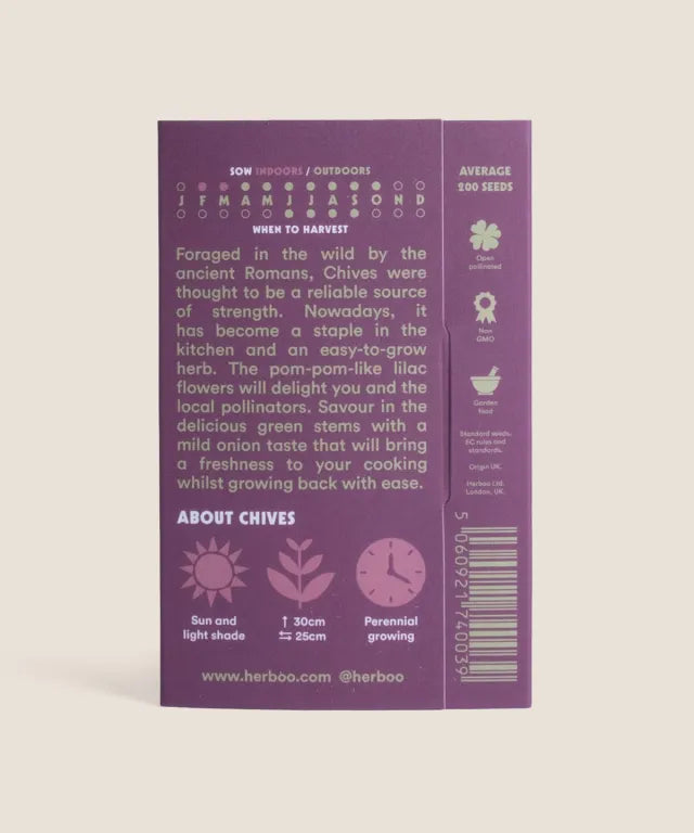 Chive Seeds