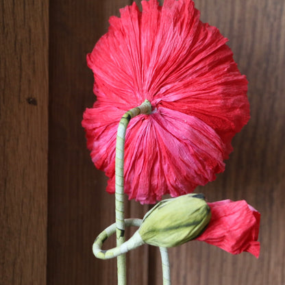 Floragami - Single poppy and Bud / Red