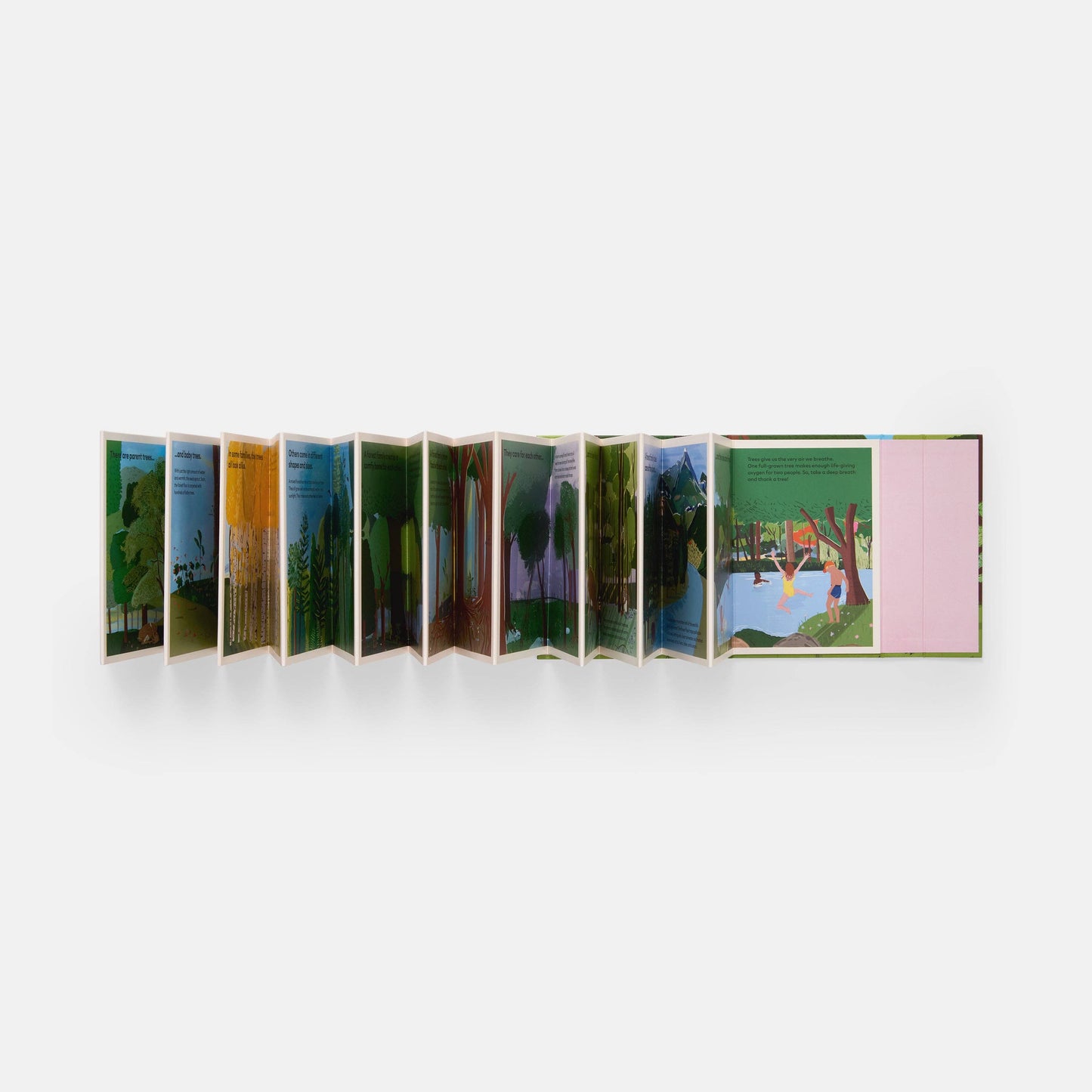 A Family of Trees: My First Book of Forests
