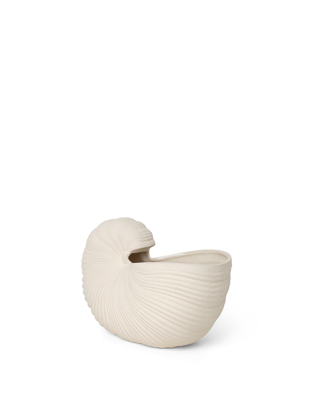 Shell Vase