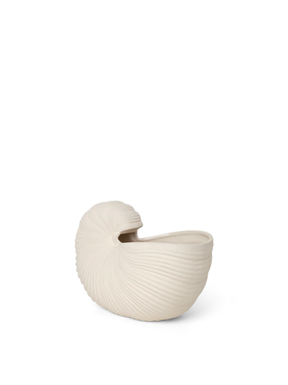 Shell Vase
