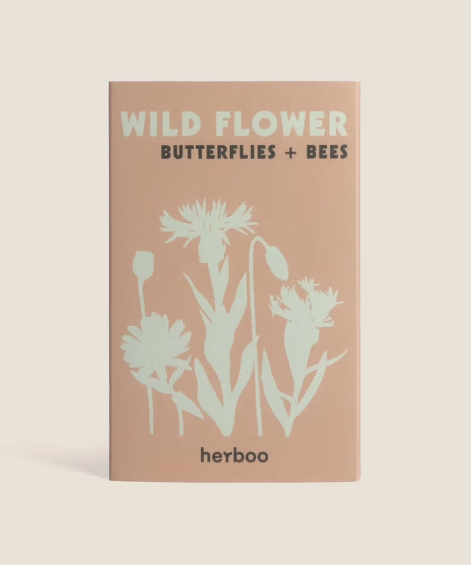 Wildflower Seeds