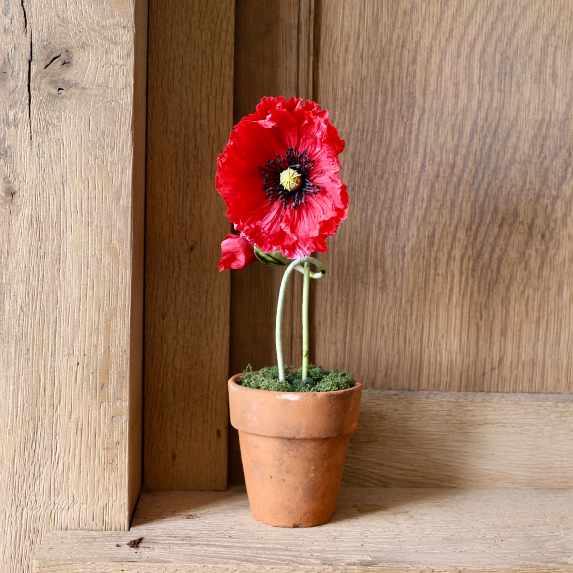 Floragami - Single poppy and Bud / Red