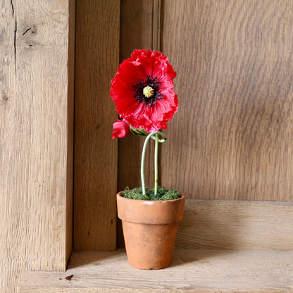 Floragami - Single poppy and Bud / Red