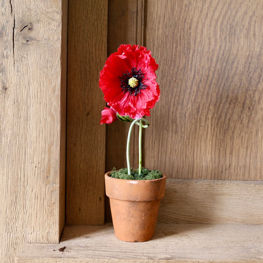 Floragami - Single poppy and Bud / Red