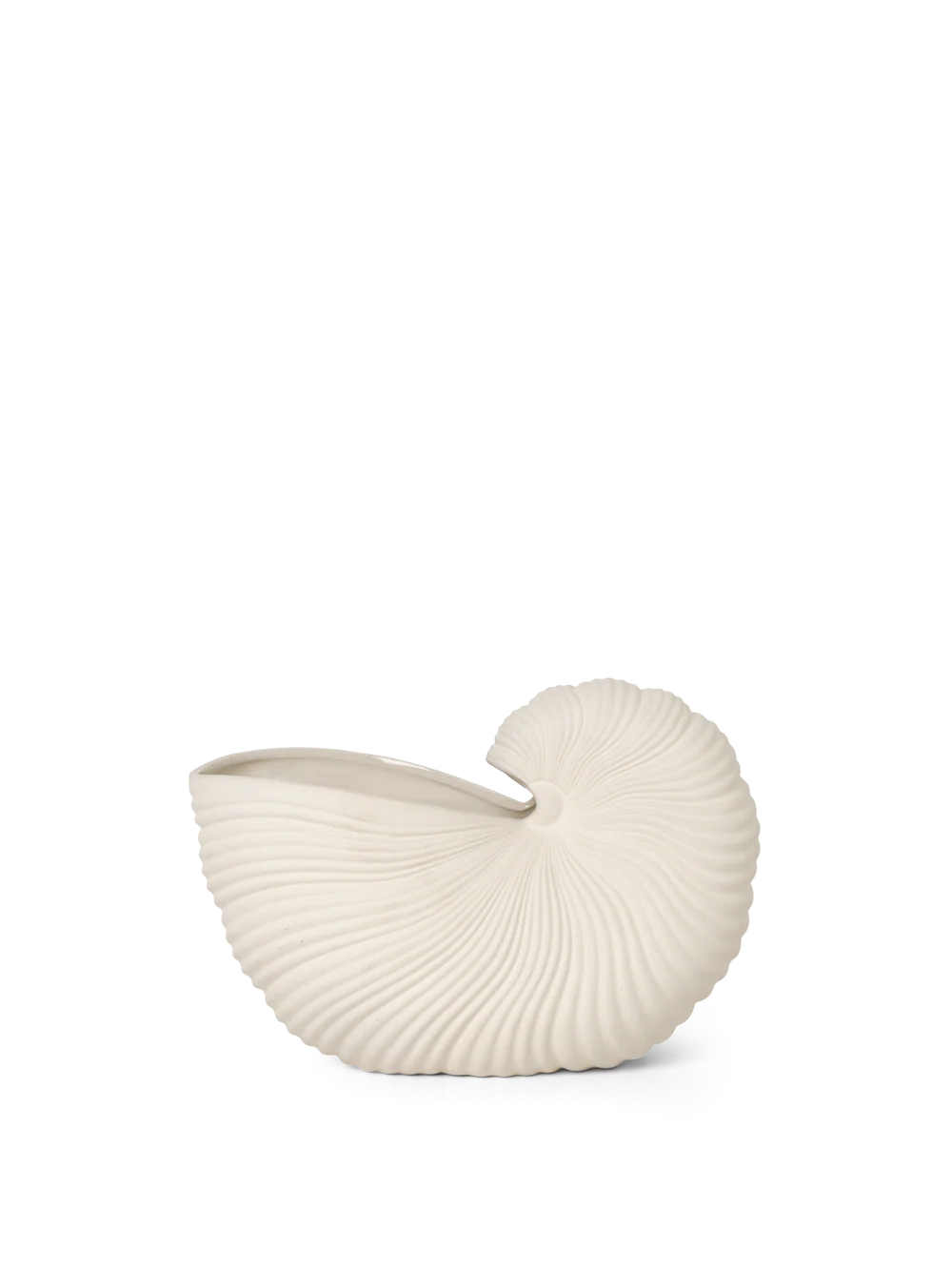 Shell Vase