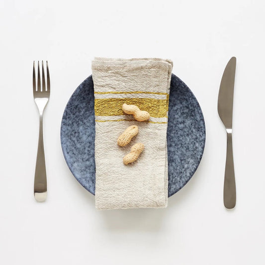 Striped Linen Napkin - Set of 2
