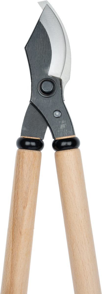 Niwaki Loppers