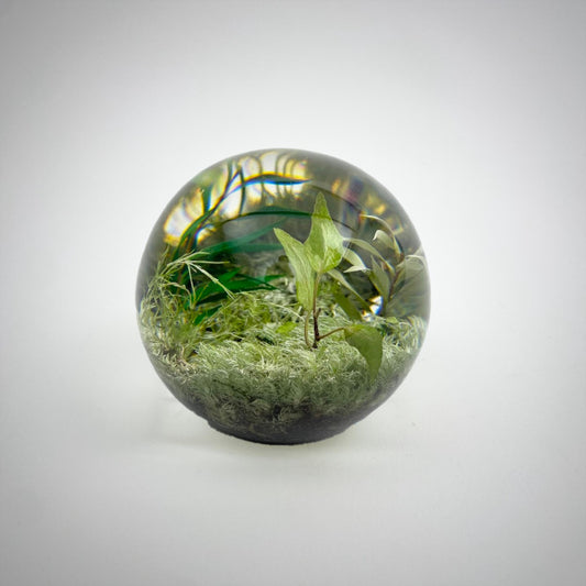 Leaf Paper Weight