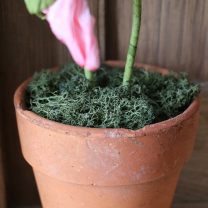 Floragami - Single poppy and Bud / Pink