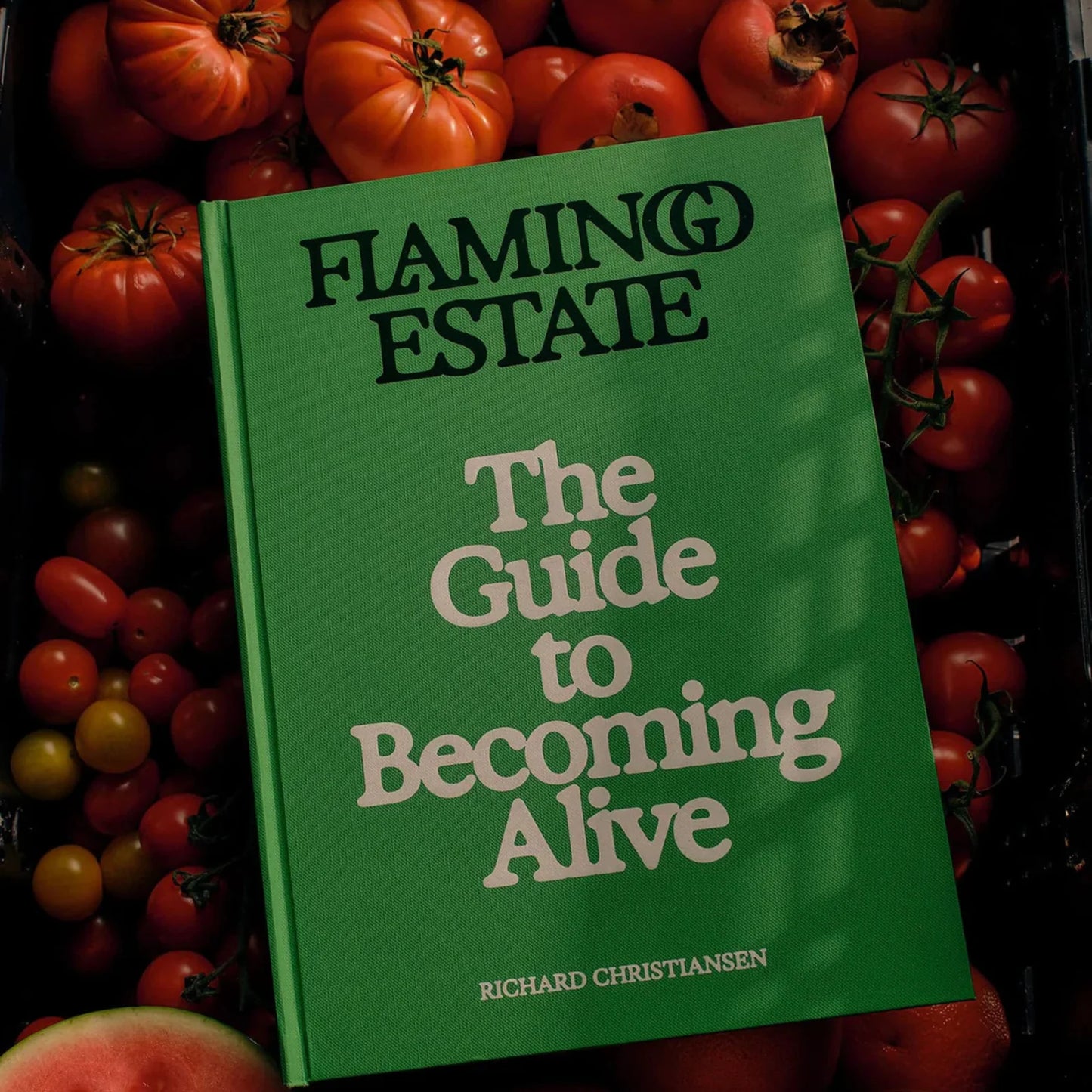 The Guide to Becoming Alive Book