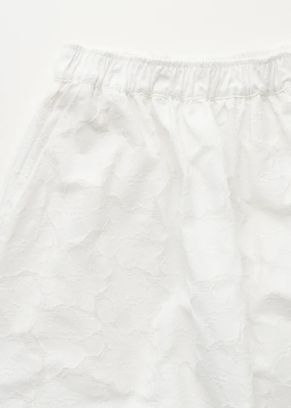 Skirt Laceflower - White