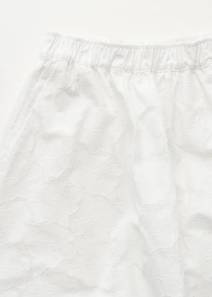 Skirt Laceflower - White
