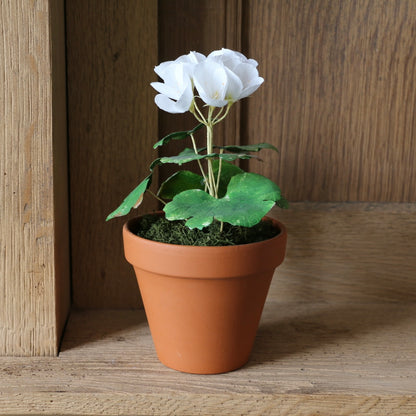 Floragami - Geranium / White