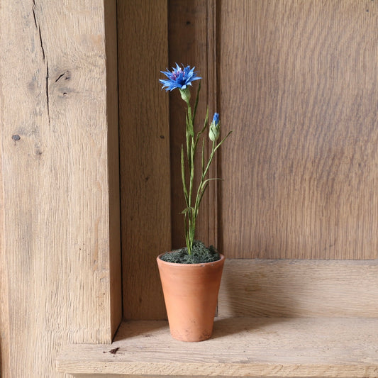 Floragami - Cornflower / Blue