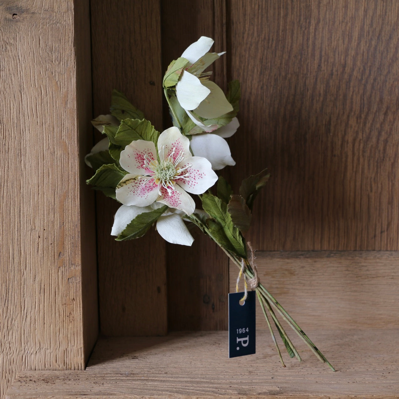 Floragami / Hellebore Bunch #1