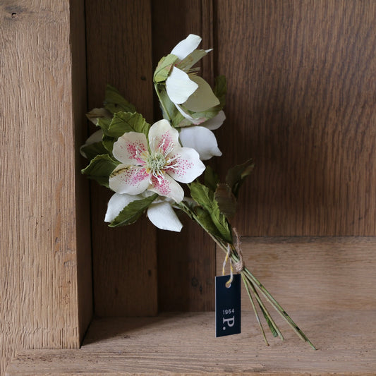 Floragami / Hellebore Bunch #1