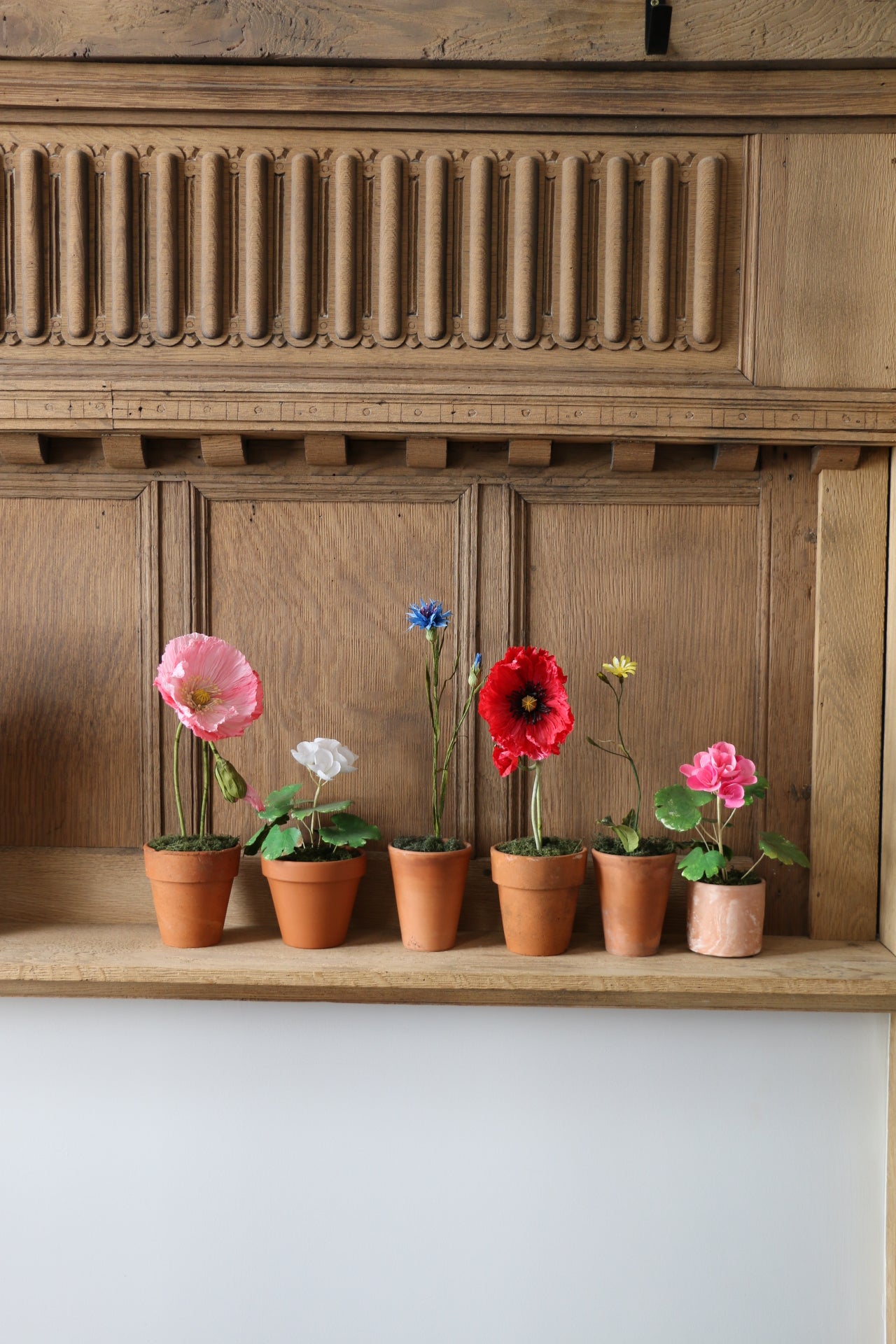 Floragami - Geranium / White