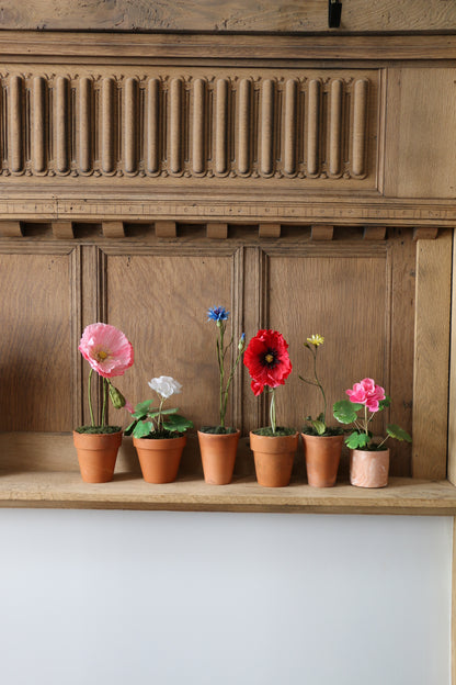 Floragami - Geranium / White