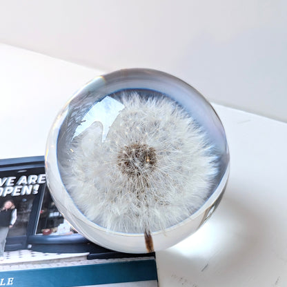 Dandelion Paper Weight