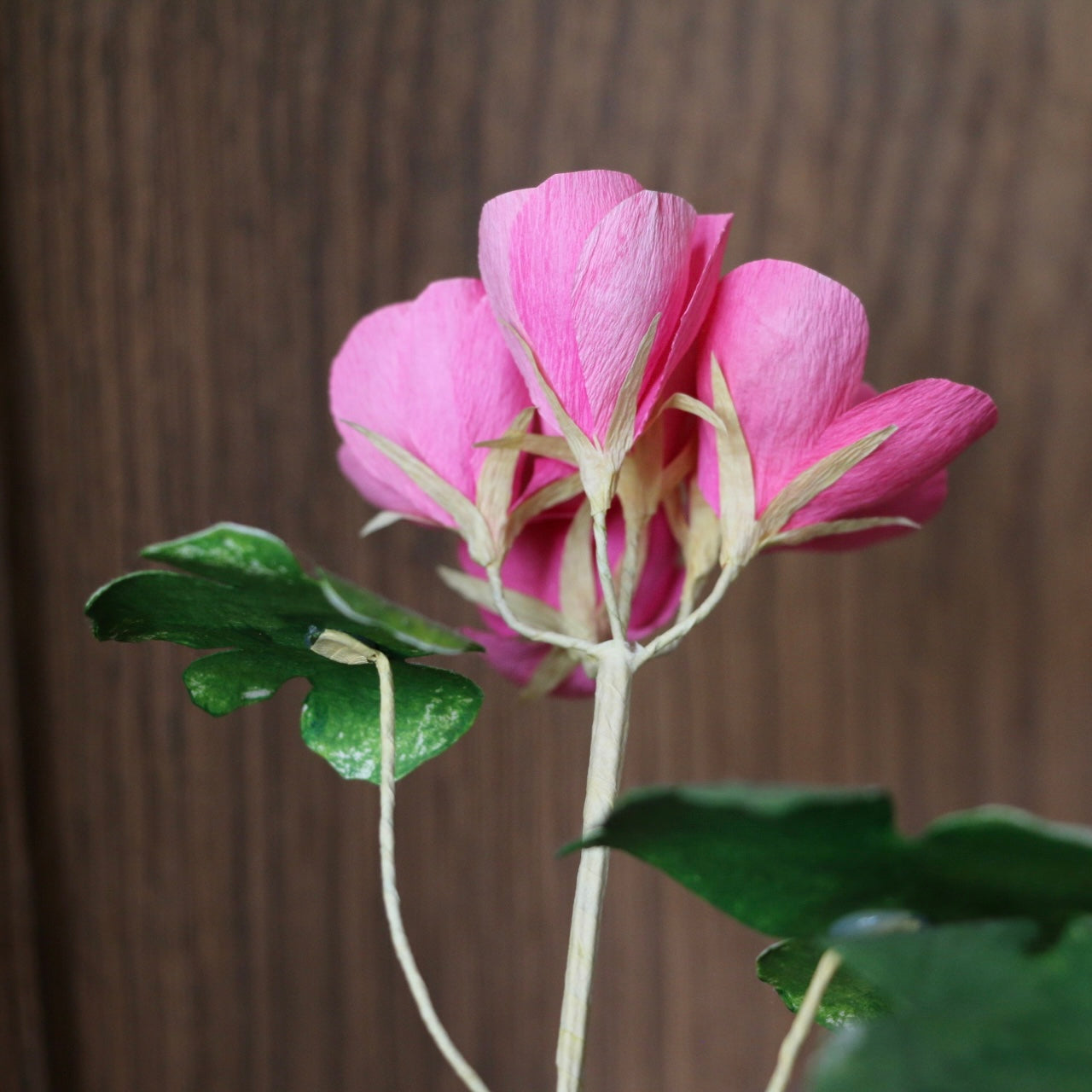 Floragami - Geranium / Pink