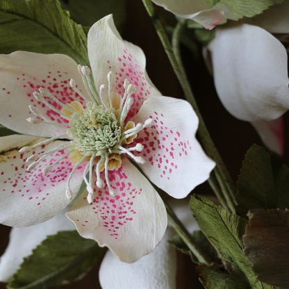 Floragami / Hellebore Bunch #1