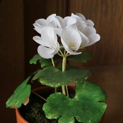 Floragami - Geranium / White
