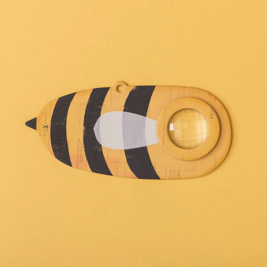 Bee Insect Eye