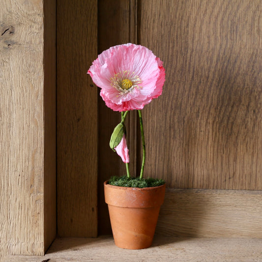 Floragami - Single poppy and Bud / Pink