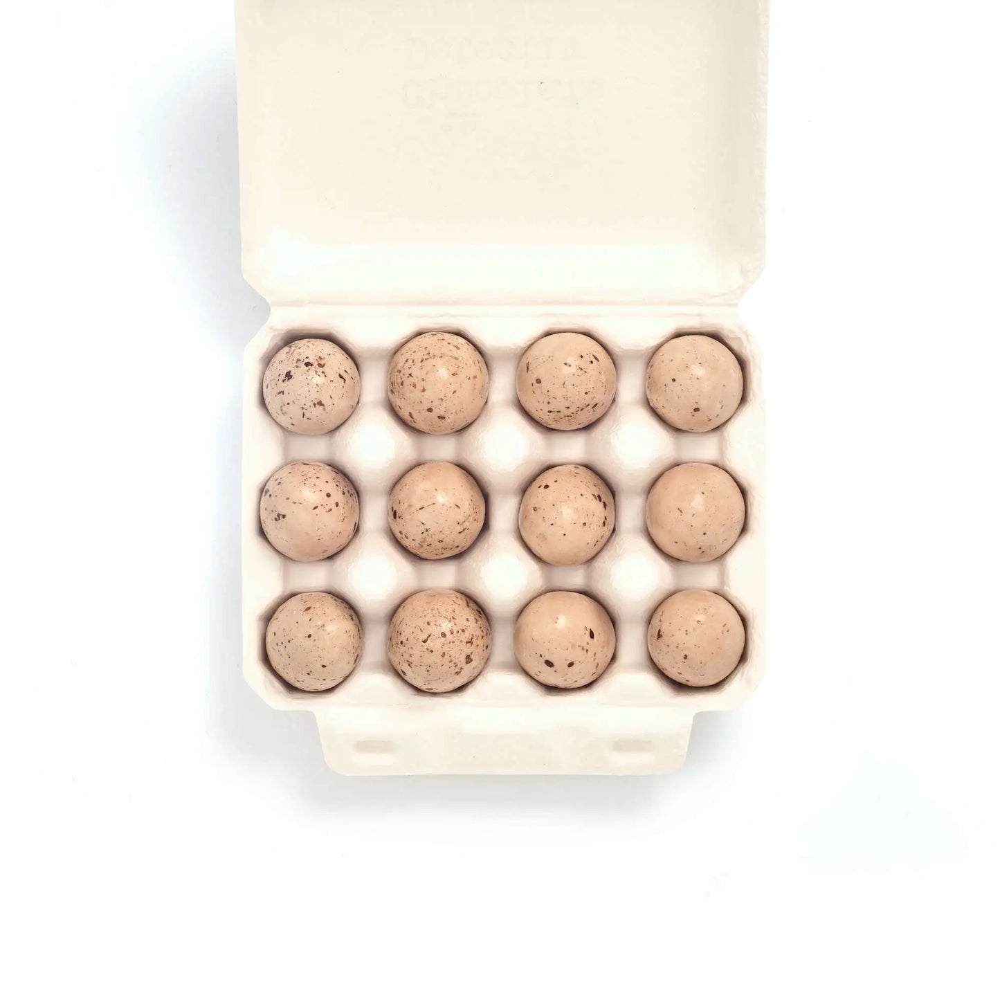 12 Chocolate Song Thrush Eggs