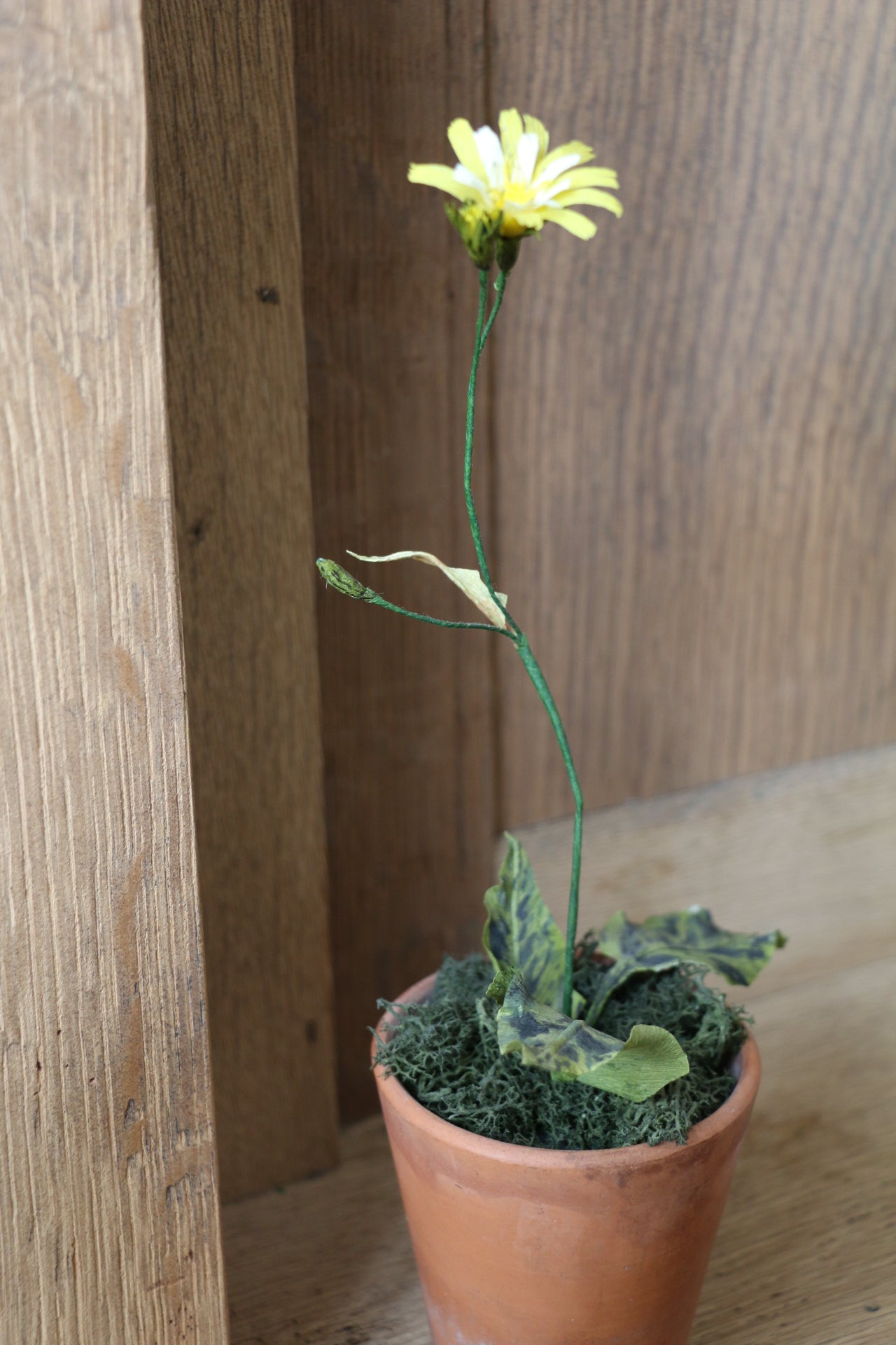 Floragami - Wildflower / Yellow
