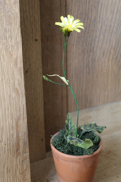 Floragami - Wildflower / Yellow