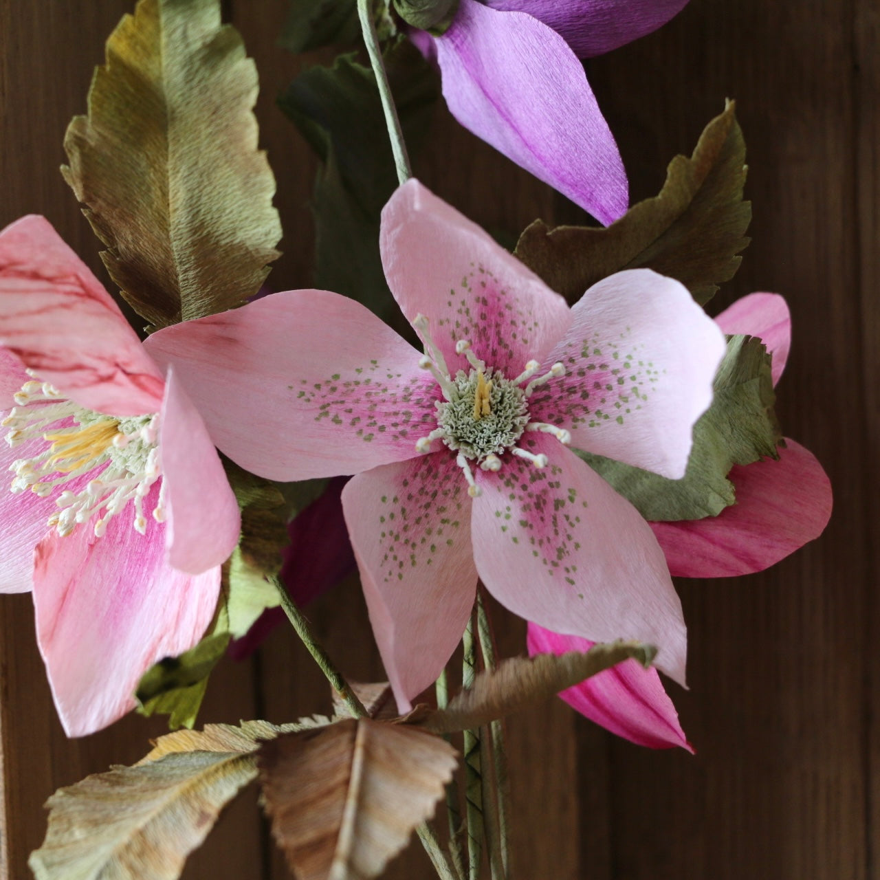 Floragami / Hellebore Bunch #2