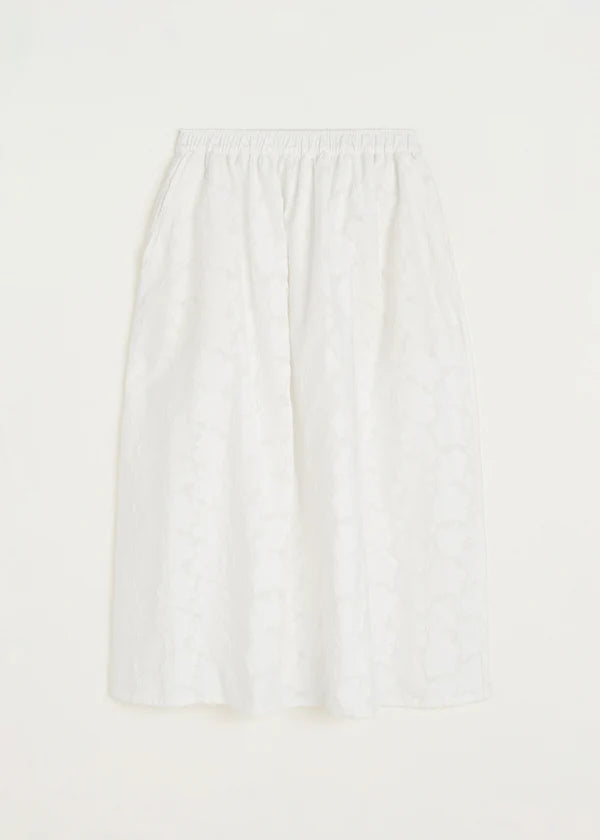 Skirt Laceflower - White