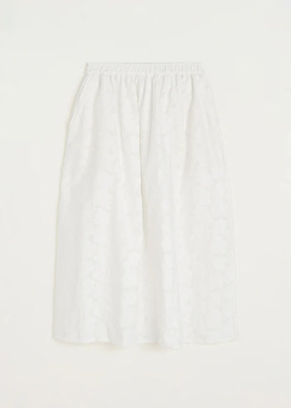 Skirt Laceflower - White