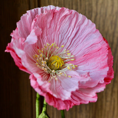 Floragami - Single poppy and Bud / Pink