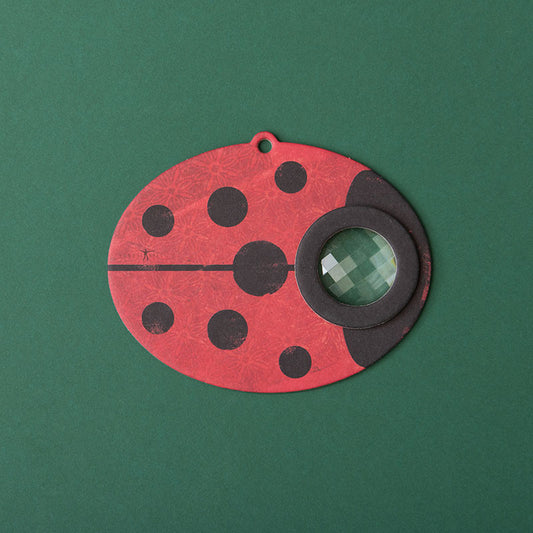 Ladybird Insect Eye