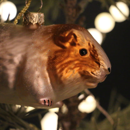 Guinea Pig Decoration