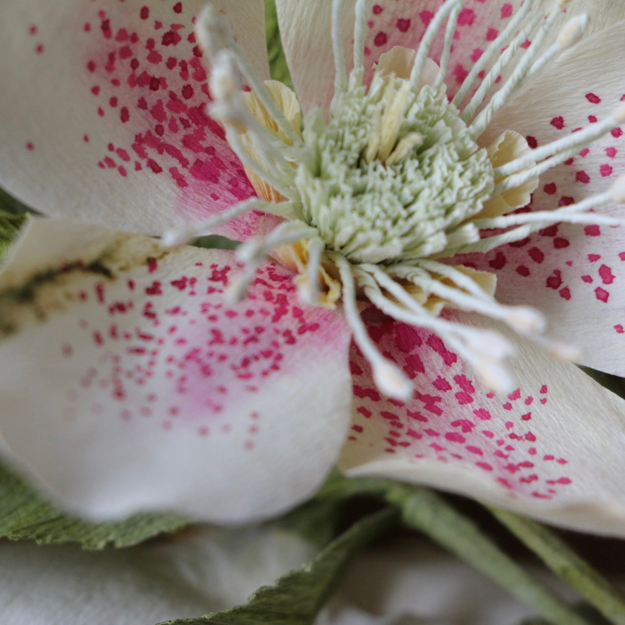 Floragami / Hellebore Bunch #1
