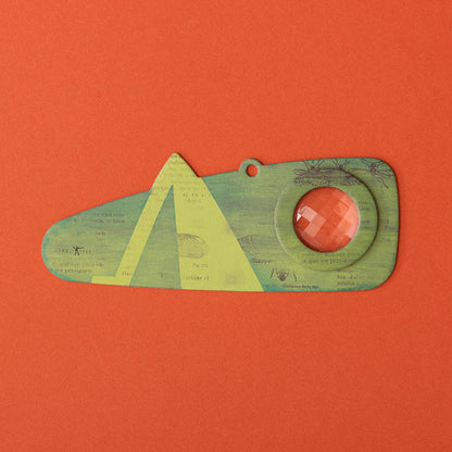 Grasshopper Insect Eye