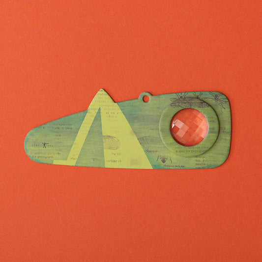 Grasshopper Insect Eye