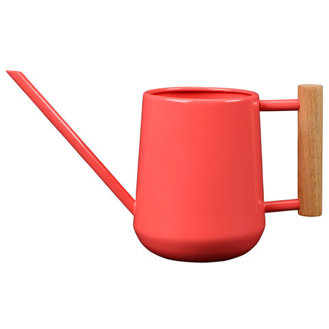 Indoor Watering Can
