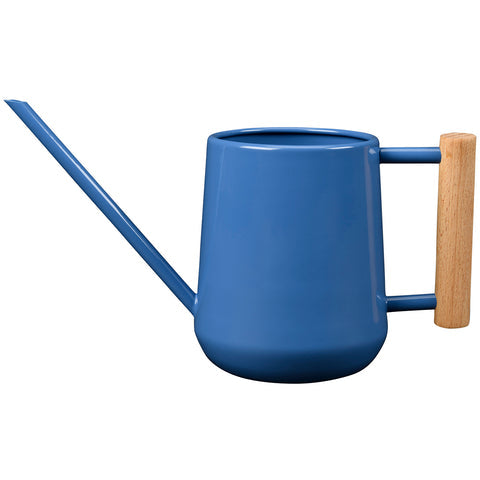 Indoor Watering Can